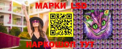скорость Кингисепп