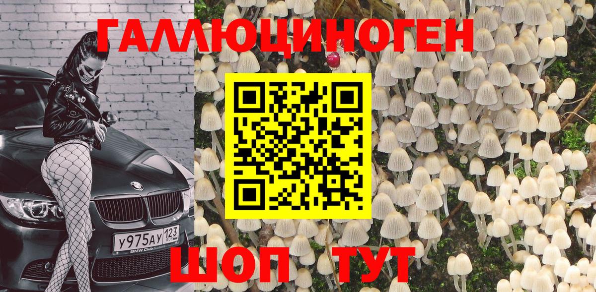 Галлюциногенные грибы MAGIC MUSHROOMS  Вход с VPN  Красноярск 